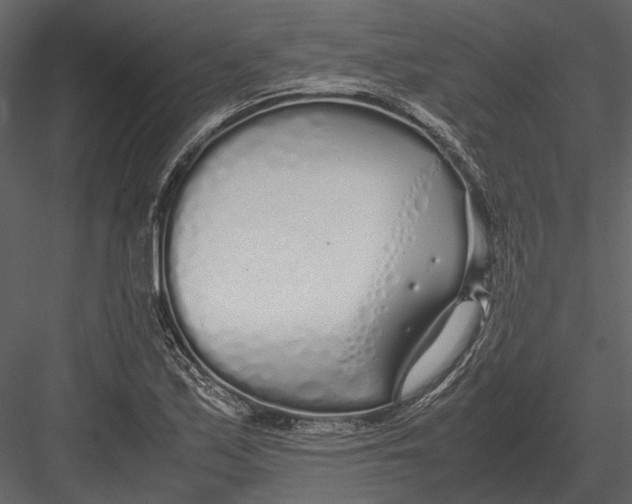 X0000083001171200702230119