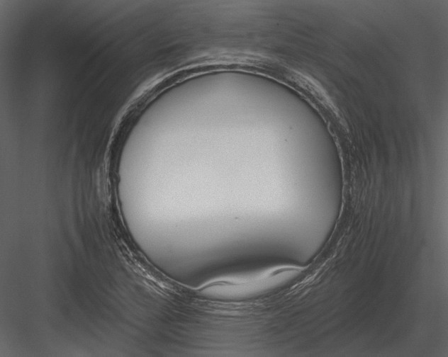 X0000083001172200702230119