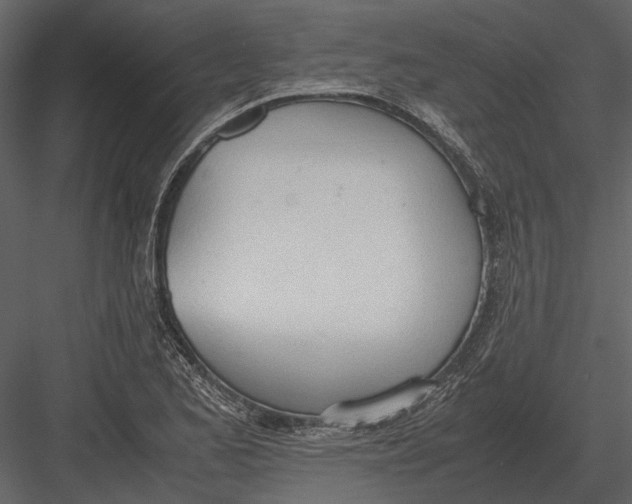 X0000083001173200702230119