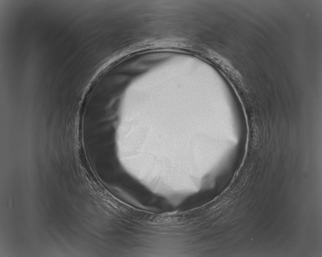 X0000083001174200702230119