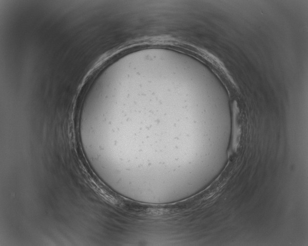 X0000083001176200702230119