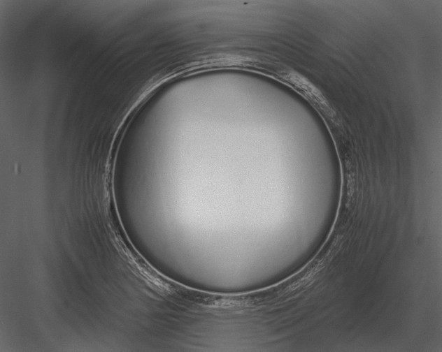 X0000083001178200702230119