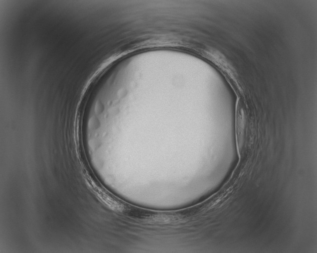 X0000083001179200702230119