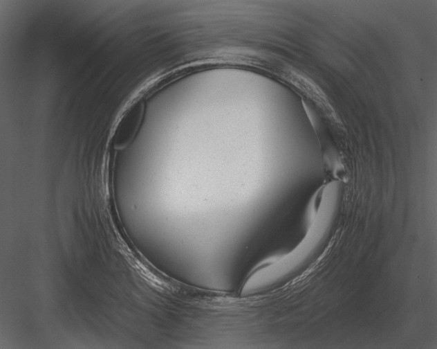 X0000083001180200702230119