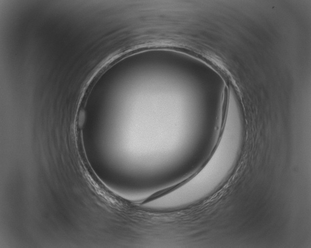 X0000083001181200702230119