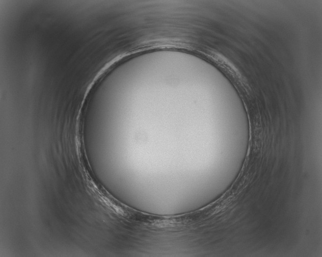 X0000083001182200702230118