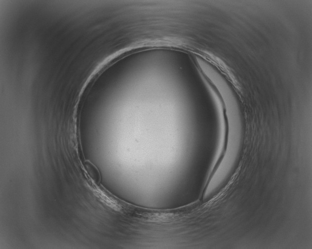 X0000083001184200702230118