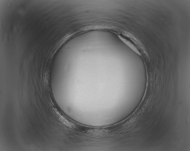 X0000083001185200702230118