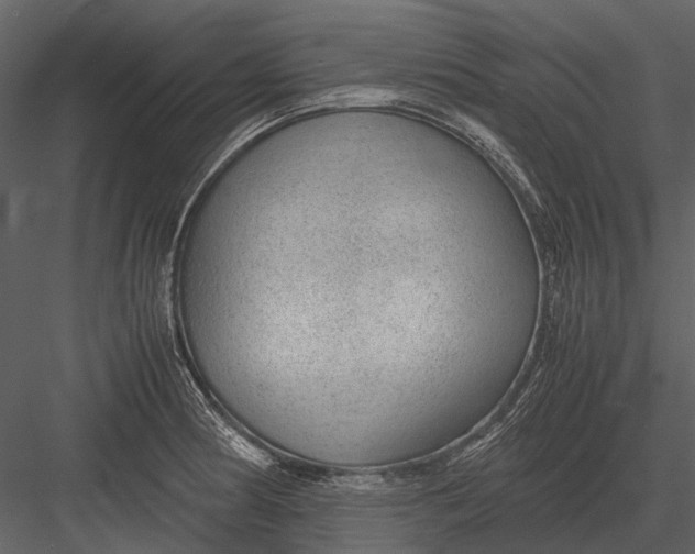 X0000083001186200702230118