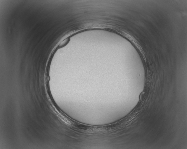 X0000083001187200702230118