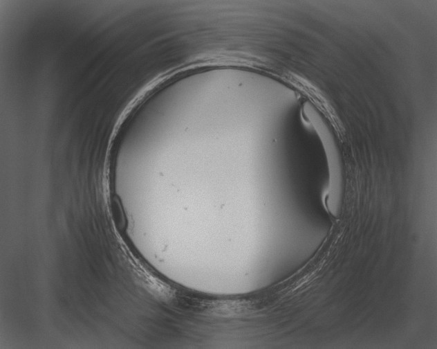 X0000083001188200702230118