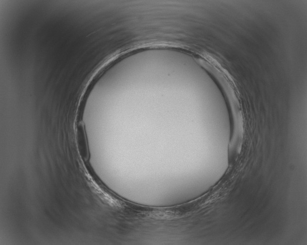 X0000083001189200702230118