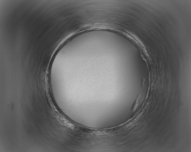 X0000083001190200702230118