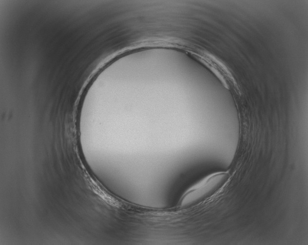 X0000083001192200702230118