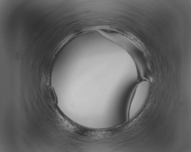 X0000083001193200702230118