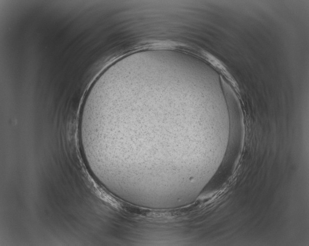 X0000083001194200702230118