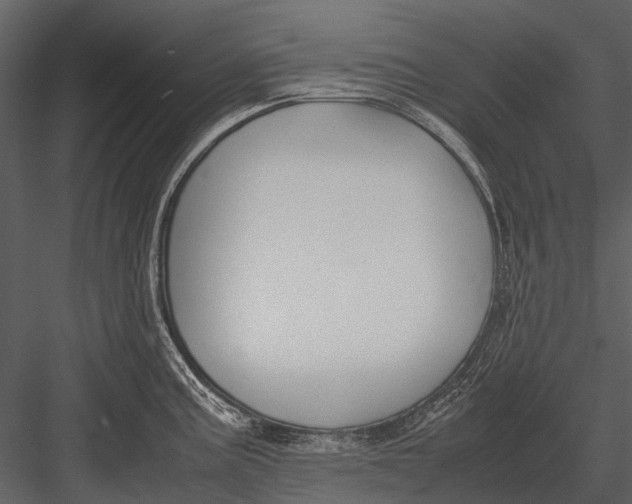 X0000083001195200702230118