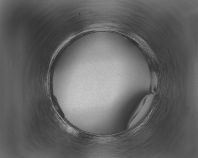 X0000083001196200702230118