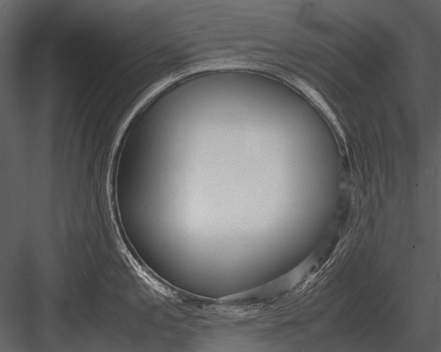 X0000083001197200702230118