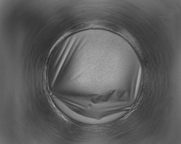 X0000083001198200702230118