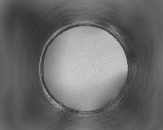 X0000083001199200702230118