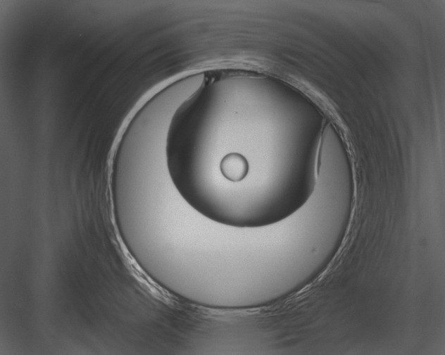 X0000083001200200702230118