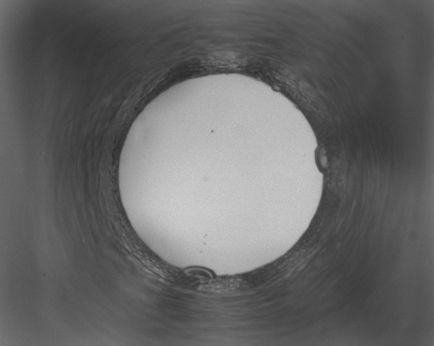 X0000083001201200702230117