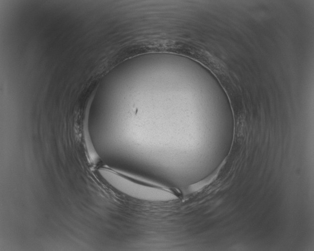 X0000083001202200702230117