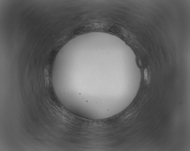 X0000083001203200702230117