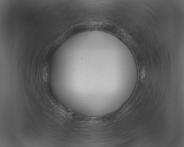 X0000083001204200702230117