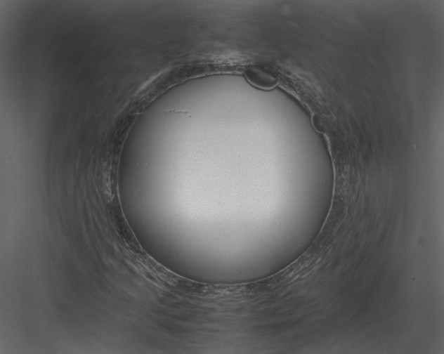 X0000083001205200702230117