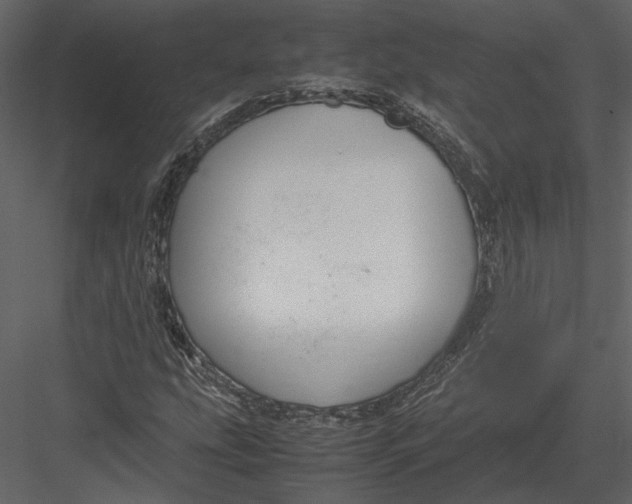 X0000083001207200702230117