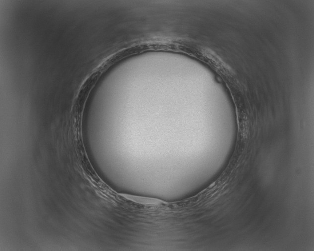 X0000083001208200702230117