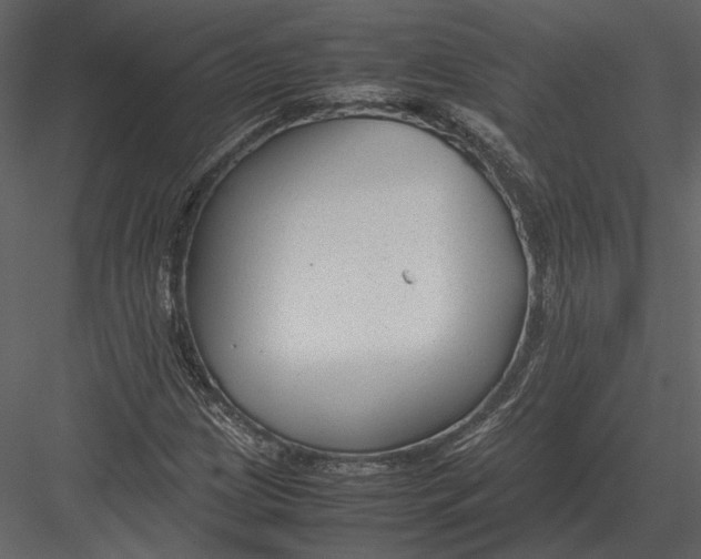 X0000083001209200702230117