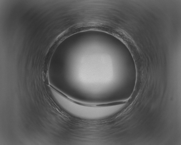 X0000083001210200702230118