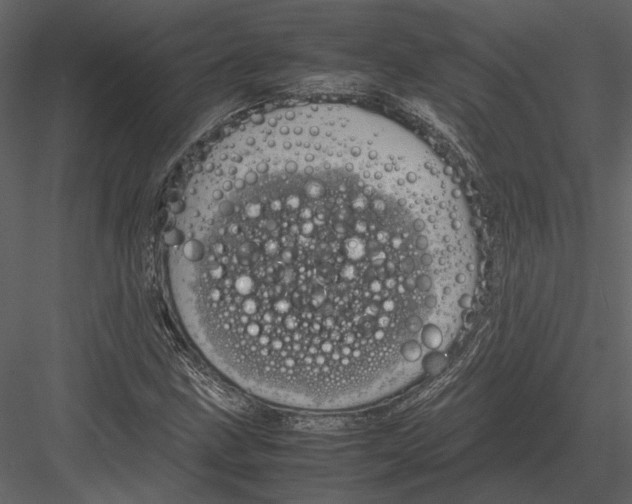 X0000083001211200702230118