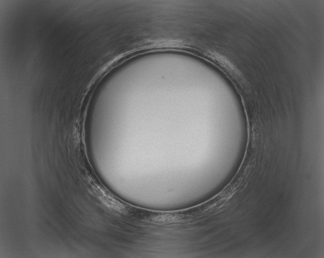 X0000083001212200702230118