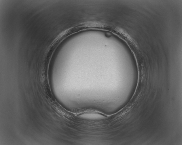 X0000083001213200702230118