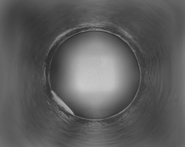 X0000083001214200702230118