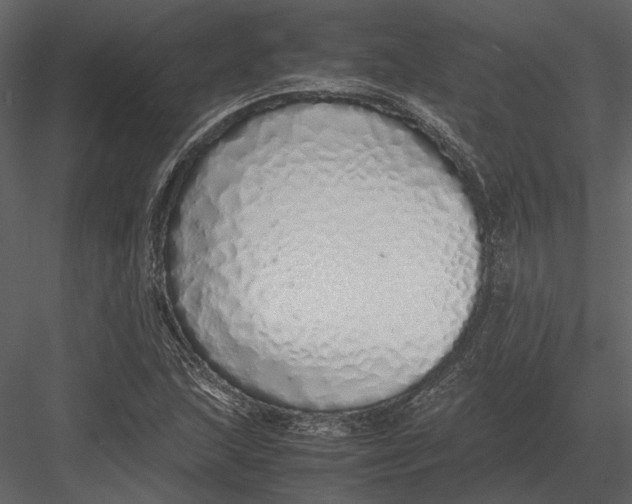 X0000083001215200702230118