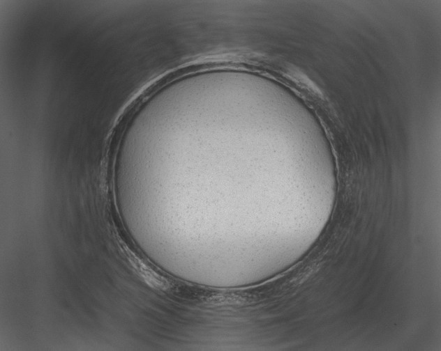 X0000083001216200702230118