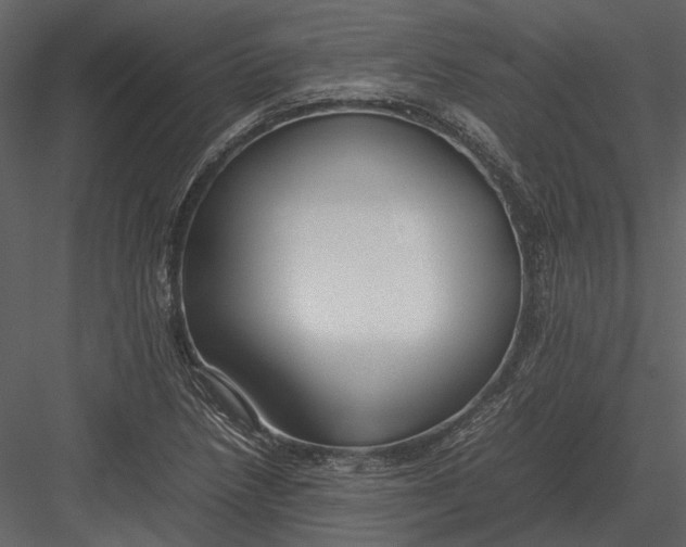 X0000083001218200702230118