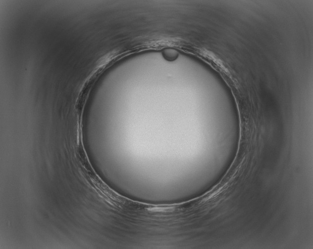 X0000083001219200702230118