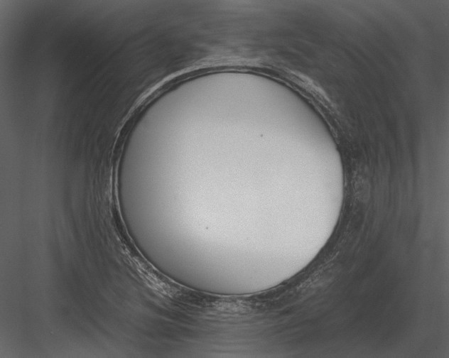 X0000083001220200702230118