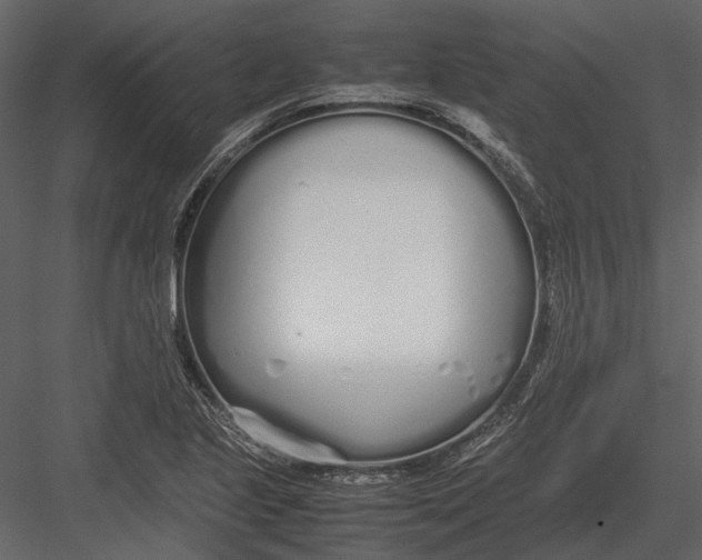 X0000083001221200702230118