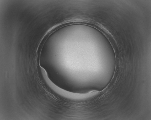 X0000083001222200702230118