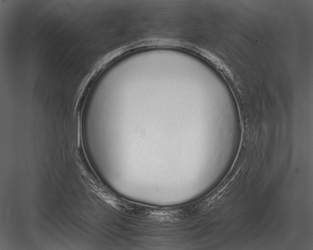 X0000083001223200702230118