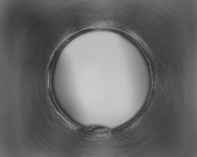 X0000083001224200702230118