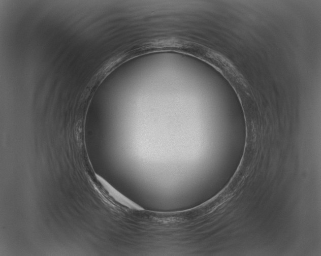 X0000083001225200702230118