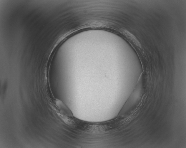 X0000083001226200702230118